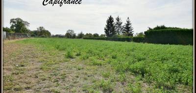Terrain seul à Dornes en Nièvre (58) de 4368 m² à vendre au prix de 86000€ - 2