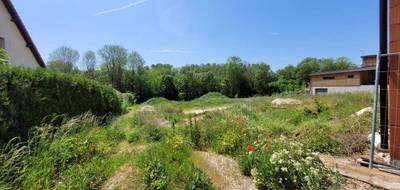 Terrain seul à Rosières-près-Troyes en Aube (10) de 4149 m² à vendre au prix de 293000€ - 2