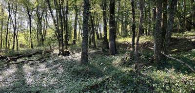 Terrain seul à Brive-la-Gaillarde en Corrèze (19) de 14696 m² à vendre au prix de 66000€ - 4