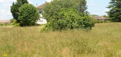 Terrain seul à Sainte-Livrade-sur-Lot en Lot-et-Garonne (47) de 707 m² à vendre au prix de 59000€ - 3