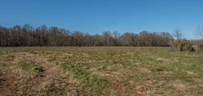 Terrain seul à Dampierre-en-Burly en Loiret (45) de 1369 m² à vendre au prix de 44000€ - 4