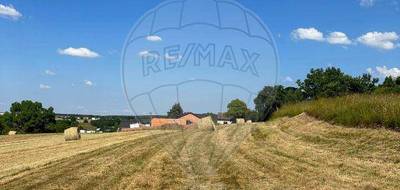 Terrain seul à Phalsbourg en Moselle (57) de 2043 m² à vendre au prix de 75000€ - 3