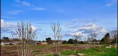 Terrain seul à Auros en Gironde (33) de 900 m² à vendre au prix de 81000€ - 3