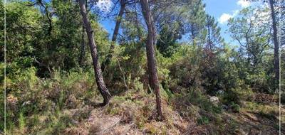 Terrain seul à Tourves en Var (83) de 27600 m² à vendre au prix de 20000€ - 1