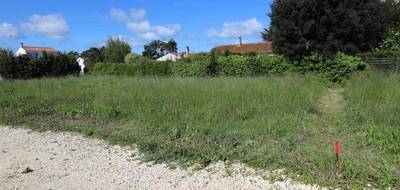 Terrain seul à La Brée-les-Bains en Charente-Maritime (17) de 336 m² à vendre au prix de 155470€ - 4
