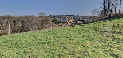 Terrain seul à Ban-de-Laveline en Vosges (88) de 2758 m² à vendre au prix de 110804€ - 2