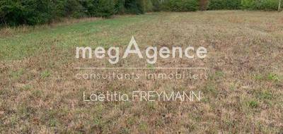 Terrain seul à Lucinges en Haute-Savoie (74) de 1185 m² à vendre au prix de 470000€ - 4