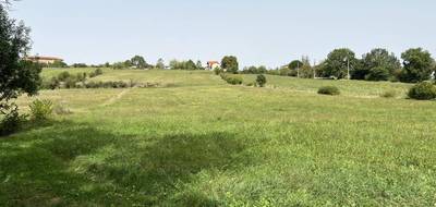 Terrain seul à Eoux en Haute-Garonne (31) de 7500 m² à vendre au prix de 49500€ - 1