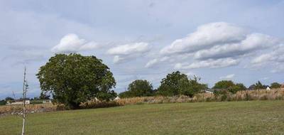 Terrain seul à La Celle-Saint-Avant en Indre-et-Loire (37) de 7800 m² à vendre au prix de 324500€ - 3