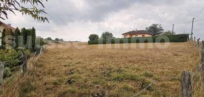 Terrain seul à L'Isle-sur-le-Doubs en Doubs (25) de 4220 m² à vendre au prix de 98000€ - 1