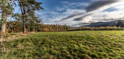 Terrain seul à Chabreloche en Puy-de-Dôme (63) de 5264 m² à vendre au prix de 69000€ - 2