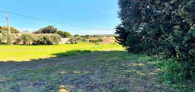 Terrain seul à Roquemaure en Gard (30) de 2190 m² à vendre au prix de 415000€ - 2