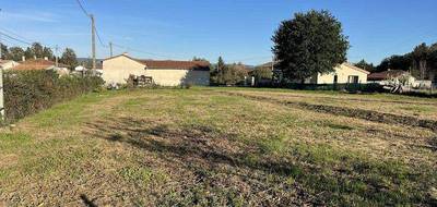 Terrain seul à Saint-Amand-Montrond en Cher (18) de 1271 m² à vendre au prix de 36000€ - 3