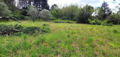 Terrain seul à Olargues en Hérault (34) de 7967 m² à vendre au prix de 265000€ - 3