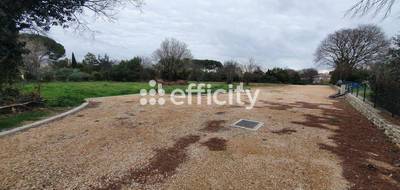 Terrain seul à Villevieille en Gard (30) de 1082 m² à vendre au prix de 217000€ - 4