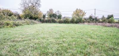 Terrain seul à Montigny-aux-Amognes en Nièvre (58) de 2154 m² à vendre au prix de 40620€ - 3