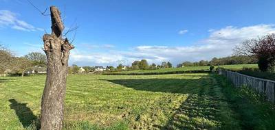 Terrain seul à Rieux en Morbihan (56) de 1400 m² à vendre au prix de 47000€ - 3