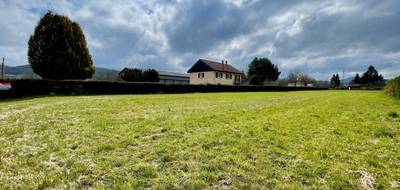 Terrain seul à Corcieux en Vosges (88) de 3010 m² à vendre au prix de 54000€ - 1