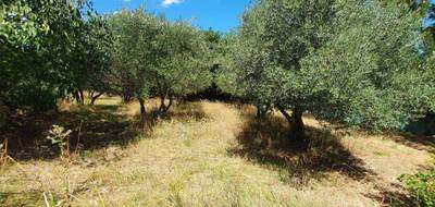 Terrain seul à Montignargues en Gard (30) de 2355 m² à vendre au prix de 316500€ - 3