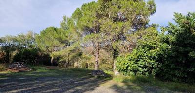Terrain seul à Fontès en Hérault (34) de 4250 m² à vendre au prix de 231000€ - 2