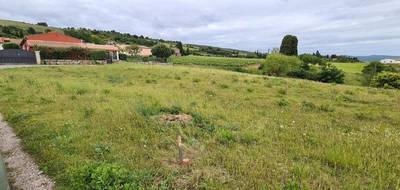 Terrain seul à Limoux en Aude (11) de 1000 m² à vendre au prix de 49900€ - 2