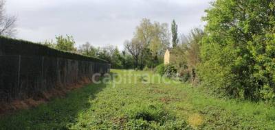 Terrain seul à Salles-sur-Garonne en Haute-Garonne (31) de 921 m² à vendre au prix de 87975€ - 4