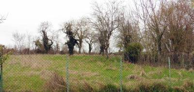 Terrain seul à Bagneaux en Yonne (89) de 1250 m² à vendre au prix de 15000€ - 1