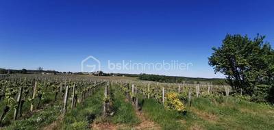 Terrain seul à Belvès-de-Castillon en Gironde (33) de 0 m² à vendre au prix de 168000€ - 1
