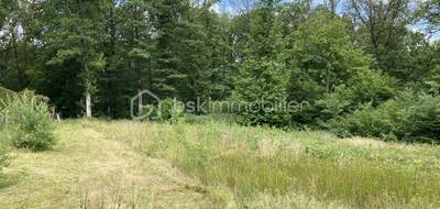Terrain seul à Chéroy en Yonne (89) de 4417 m² à vendre au prix de 95000€ - 1