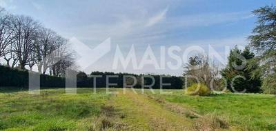 Programme terrain + maison à Mazamet en Tarn (81) de 1220 m² à vendre au prix de 207000€ - 3