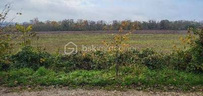 Terrain seul à Draveil en Essonne (91) de 380 m² à vendre au prix de 155000€ - 3