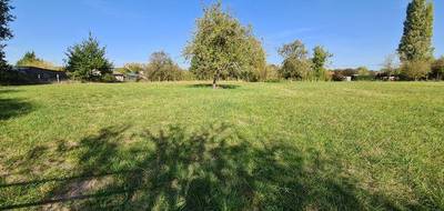 Terrain seul à Vendœuvres en Indre (36) de 2119 m² à vendre au prix de 31900€ - 2