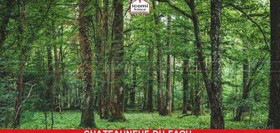 Terrain seul à Châteauneuf-du-Faou en Finistère (29) de 3000 m² à vendre au prix de 15000€ - 2