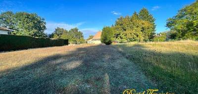 Terrain seul à Pruniers-en-Sologne en Loir-et-Cher (41) de 980 m² à vendre au prix de 40000€ - 3