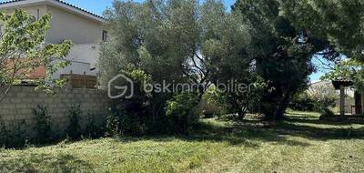Terrain seul à Aimargues en Gard (30) de 1977 m² à vendre au prix de 650000€ - 3