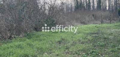 Terrain seul à Cerny en Essonne (91) de 364 m² à vendre au prix de 143567€ - 2