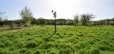 Terrain seul à Frangy-en-Bresse en Saône-et-Loire (71) de 2003 m² à vendre au prix de 25000€ - 1