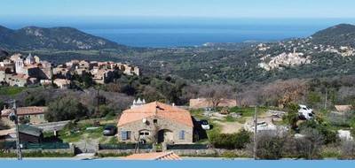 Terrain seul à Cateri en Haute-Corse (2B) de 1900 m² à vendre au prix de 480000€ - 2