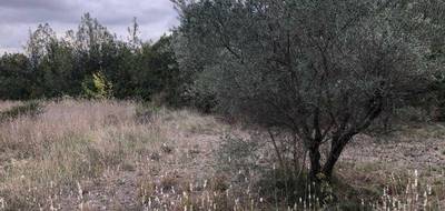 Terrain seul à Bize-Minervois en Aude (11) de 1205 m² à vendre au prix de 142000€ - 2