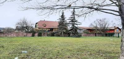 Programme terrain + maison à Blodelsheim en Haut-Rhin (68) de 537 m² à vendre au prix de 334700€ - 3