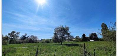 Terrain seul à Orbais-l'Abbaye en Marne (51) de 8107 m² à vendre au prix de 73000€ - 2