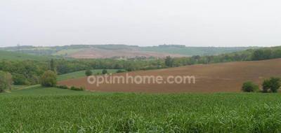 Terrain seul à Lévignac en Haute-Garonne (31) de 2500 m² à vendre au prix de 137000€ - 4