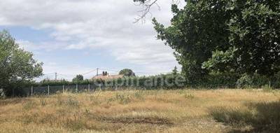 Terrain seul à Monétay-sur-Allier en Allier (03) de 3676 m² à vendre au prix de 66000€ - 2