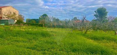 Terrain seul à Pietroso en Haute-Corse (2B) de 2000 m² à vendre au prix de 190000€ - 3