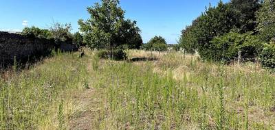 Terrain seul à Paimbœuf en Loire-Atlantique (44) de 1345 m² à vendre au prix de 99990€ - 3