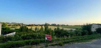 Terrain seul à Lamothe-Capdeville en Tarn-et-Garonne (82) de 1000 m² à vendre au prix de 55000€ - 1
