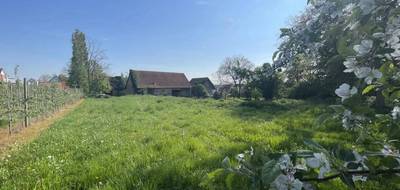 Terrain seul à Berstett en Bas-Rhin (67) de 3180 m² à vendre au prix de 559000€ - 1