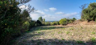 Terrain seul à Caunes-Minervois en Aude (11) de 1600 m² à vendre au prix de 78000€ - 4