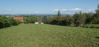 Terrain seul à Gannat en Allier (03) de 1620 m² à vendre au prix de 84800€ - 3