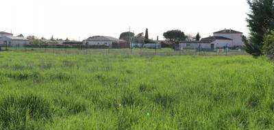 Terrain seul à Lagrave en Tarn (81) de 1602 m² à vendre au prix de 99000€ - 4